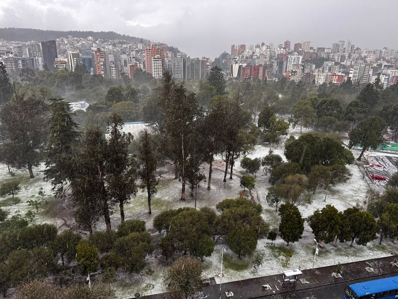 El parque La Carolina de pintó de blanco en Quito. Foto: Roberto Cadena (Metro Ecuador)