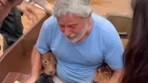 Hombre salvó a sus cuatro perros