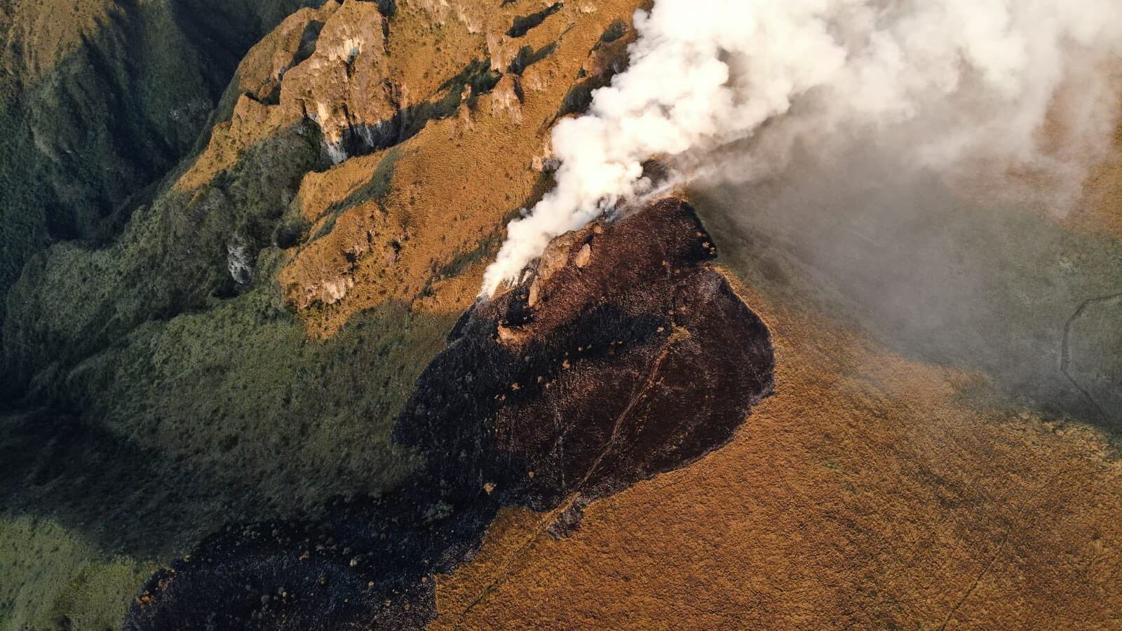 Incendio forestal en las laderas del Pichincha