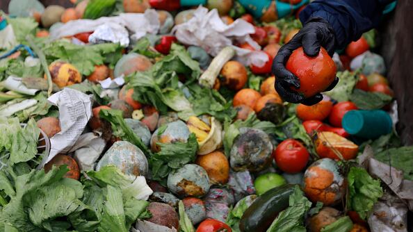 Desperdicio de comida