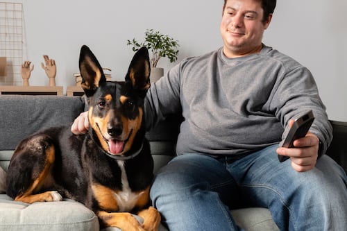 ¿A los perros les gusta ver la televisión?