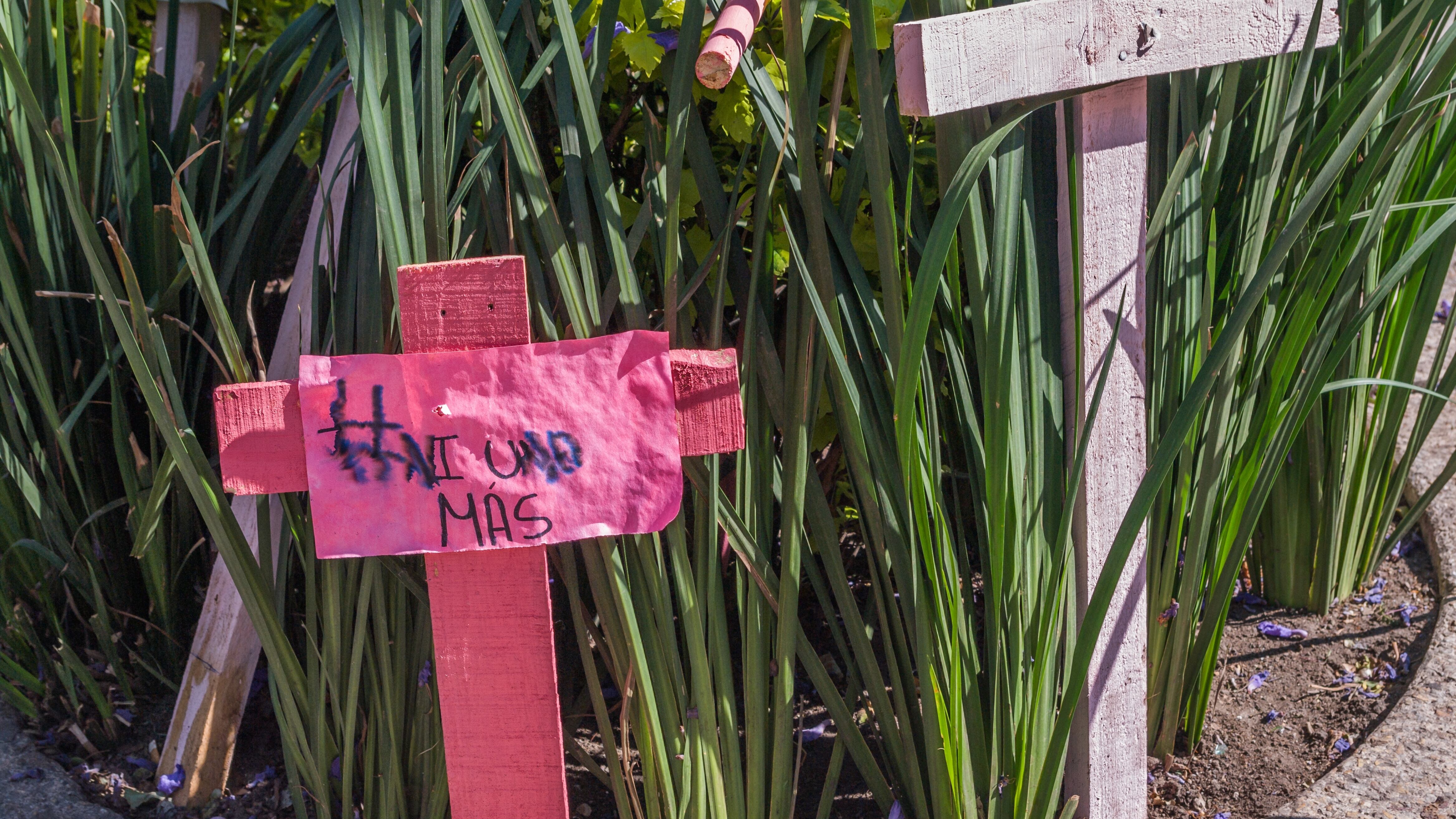 No se sabe el número exacto de huérfanos a causa de feminicidios en NL.