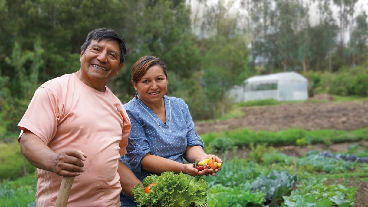 Agricultores acceden a financiamiento