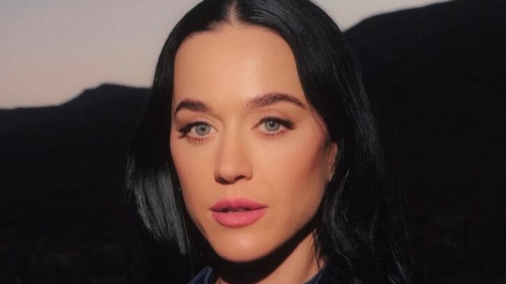 Katy Perry regresó con éxito de su viaje al espacio.