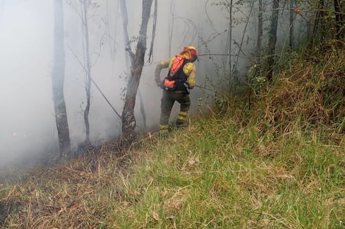 Riesgo de incendios para el fin de semana en Quito, los barrios de la capital con mayor nivel de temperatura