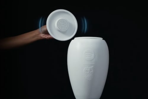 Spotify: ¿Cuánto y cómo puedo comprar la urna funeraria?