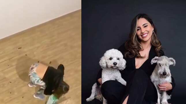 Denuncia de maltrato animal