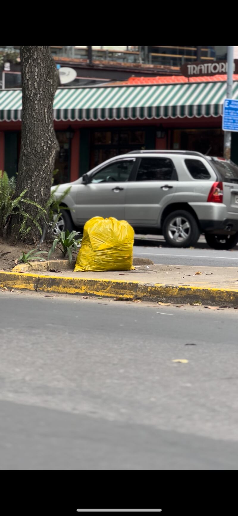 Moradores sacan la basura antes de tiempo y esto agrava la situación