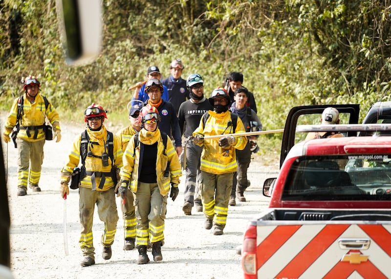 Incendios forestales