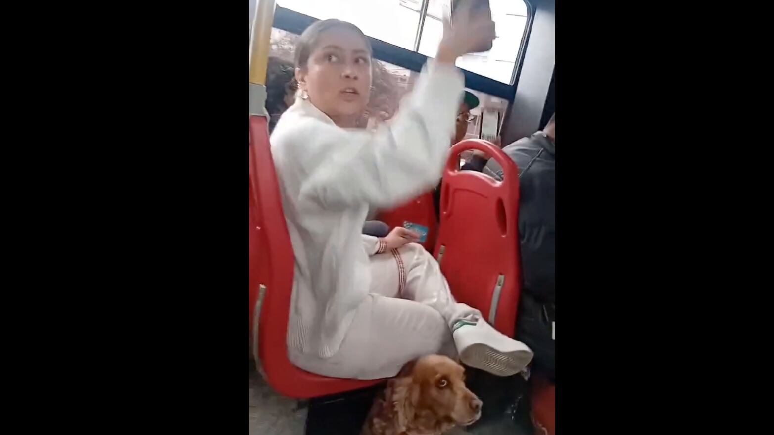 VIDEO: Mujer responde a reclamos por subir con su mascota a un bus en Colombia - Fuente: Video de X