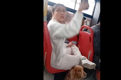 VIDEO: Discusión entre mujeres por subir a su mascota a un bus en Colombia
