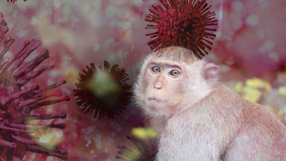 Variante mortal de viruela del mono acecha al continente americano: confirman casos en Europa, Asia y África