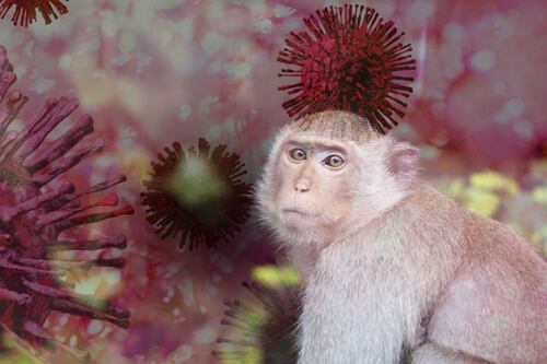 El miedo se intensifica: expertos alertan que una nueva variante de la viruela del mono podría provocar una pandemia mundial