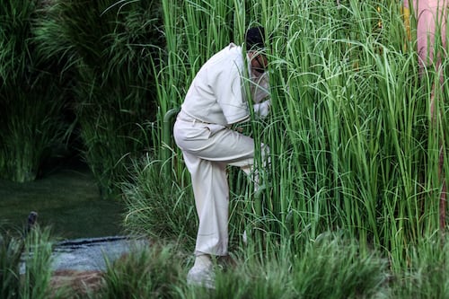 Revelan cuánto cobraron los “árboles humanos” del show de Bad Bunny en el Super Bowl LX