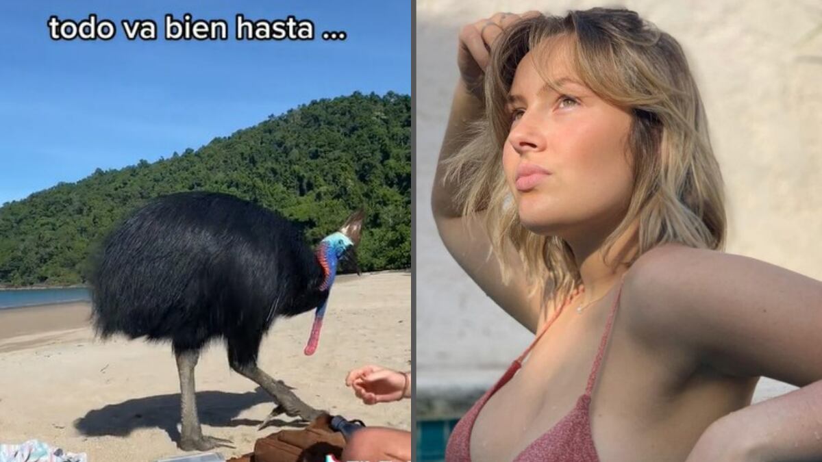 El video se volvió viral