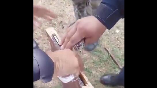 Celulares ingresados en tablones de madera a cárcel del país