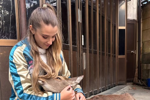 Bailarina terminó en terapia intensiva y afectada todo el cuerpo al ser picada por una garrapata al momento de acariciar un ciervo