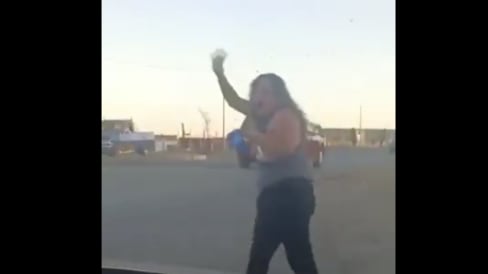 Ataque de abejas a una mujer.
