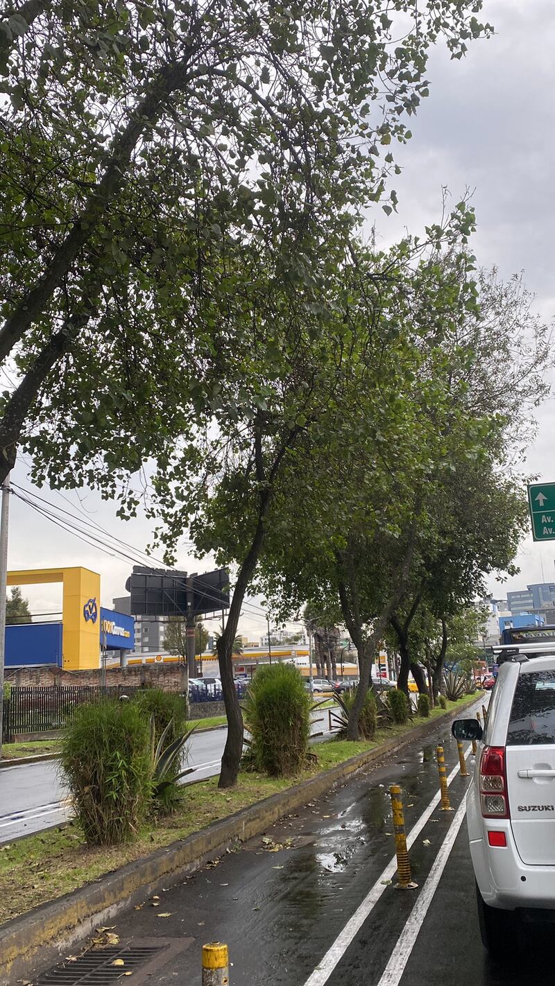 Caos vehicular en Quito debido al apagón nacional este 19 de junio