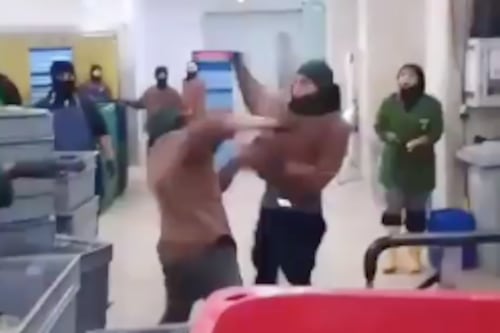 ¿Se pelearon por una compañera de trabajo? Empleados de una empacadora protagonizaron viral pelea en Guayas