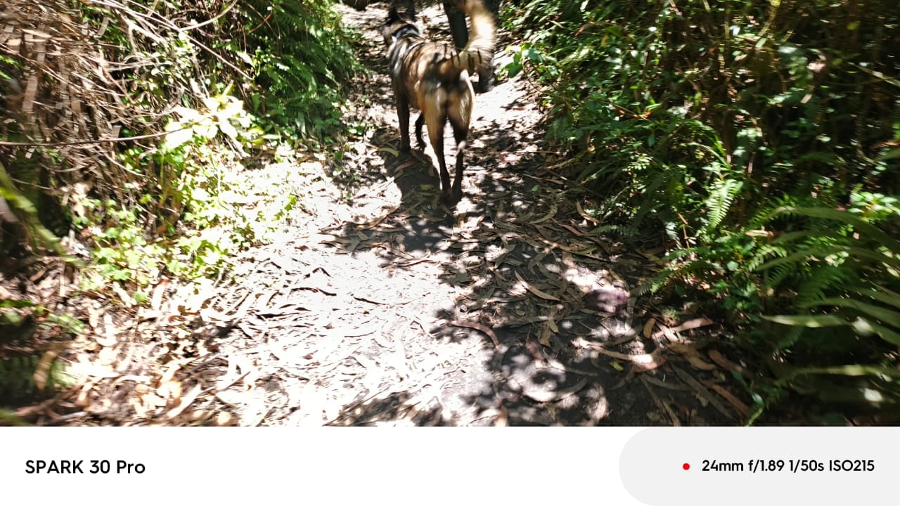 Labores de búsqueda del cuerpo de Gregory Allen Krupa en el Parque Metropolitano