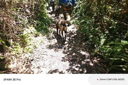 Fiscalía se pronuncia tras hallazgo del cuerpo de Gregory Allen Krupa en el Parque Metropolitano