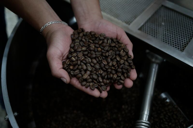 Cultivo de café en una finca del municipio de Arbeláez, Cundinamarca