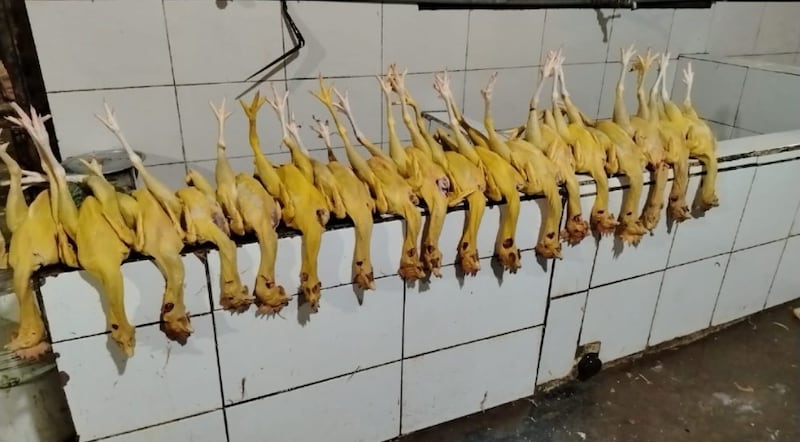 Clausura de dos “mataderos” de pollos