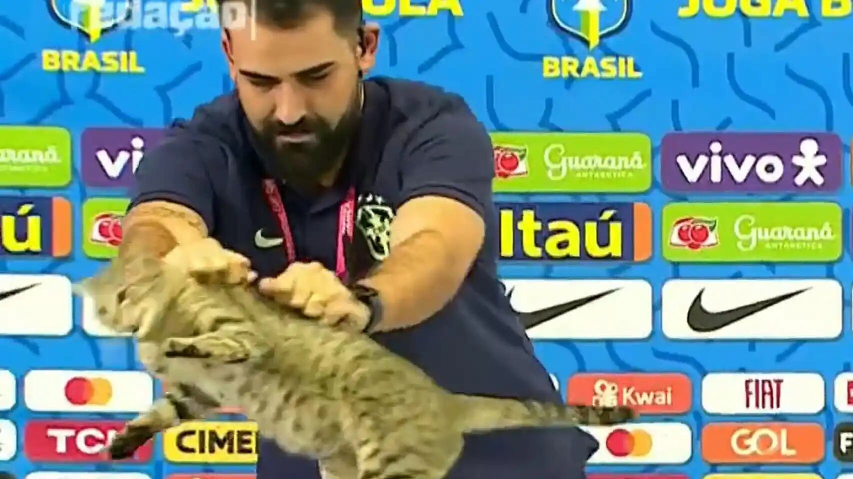 ¡Pobre michi! Un gato estaba en la rueda de prensa de prensa de Brasil y lo echaron de mala manera generando críticas en las redes