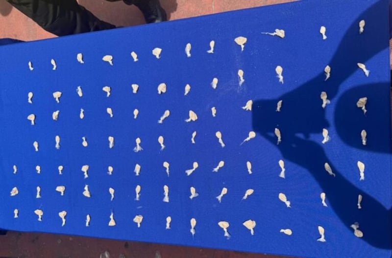 Operativo en el centro de Quito dejó cinco detenidos vinculados a “Los Lobos” - Fuente: Policía Nacional