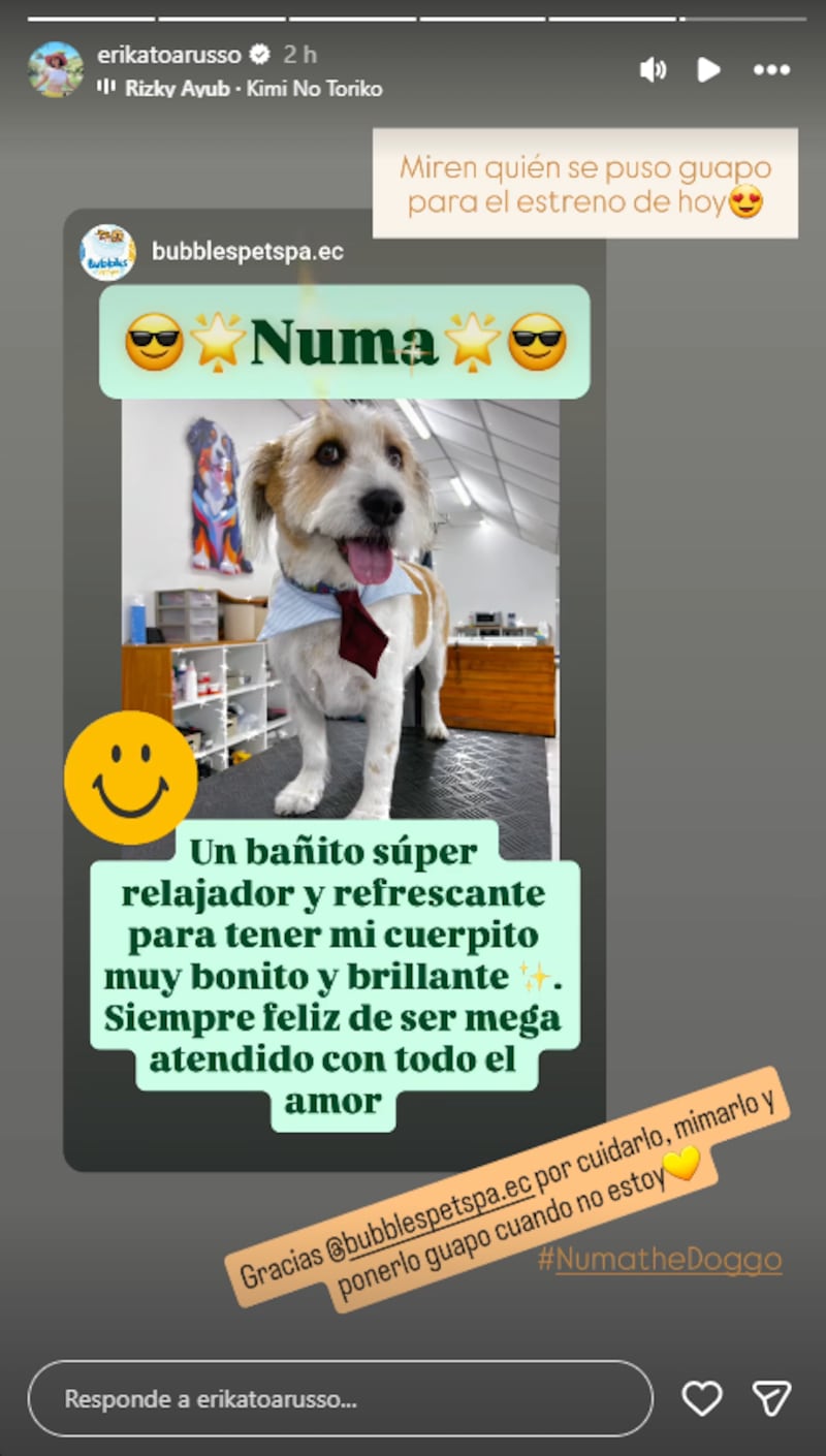 Publicación @erikatoarusso