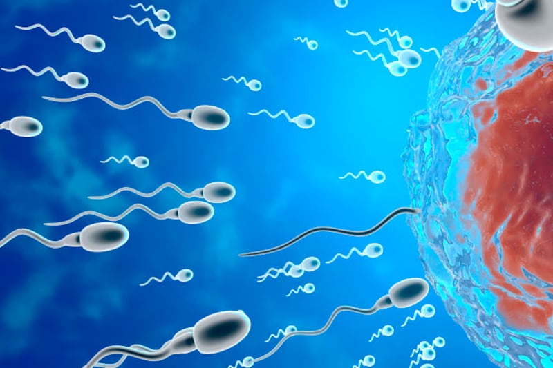 La capacidad reproductiva de los hombres ha disminuido drásticamente en las últimas décadas.| Foto: Getty Images