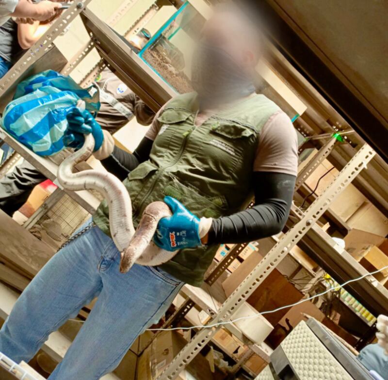 Animales silvestres en cautiverio en Quito