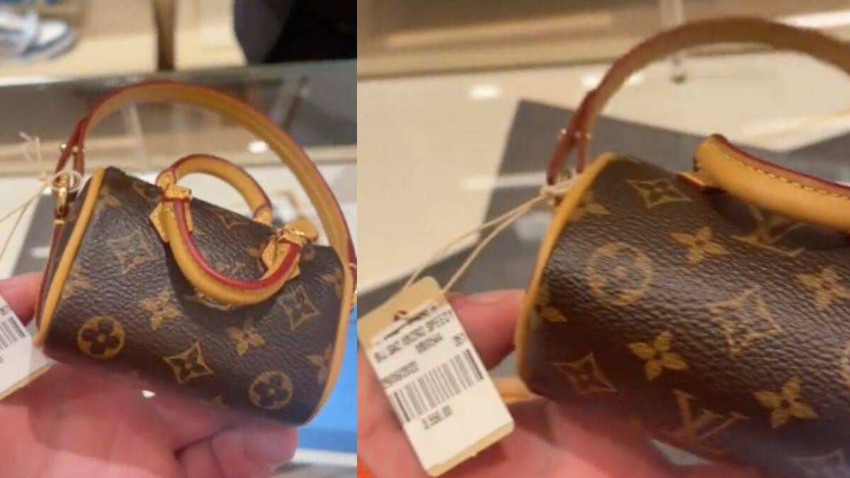 Muchos consienten a sus mascotas con accesorios lujosos