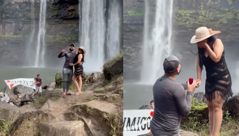 pedida de matrimonio viral