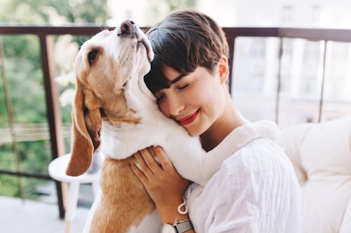 3 aspectos que debes considerar antes de adoptar una mascota