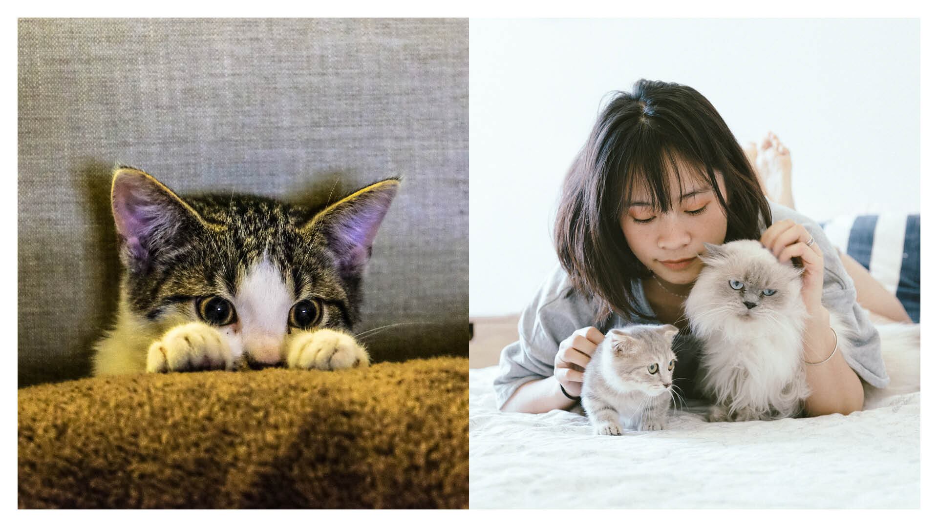 Cuidar de un pequeño de cuatro patas podría ser más beneficioso de lo que crees.