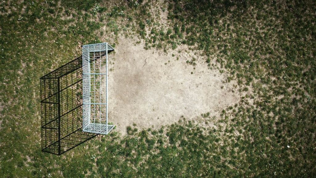 La Liga de Ucrania cuenta con 16 equipos, los primeros dos pasan a la fase de play offs de la Champions League