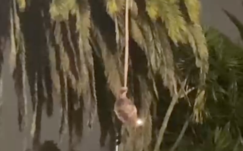 Falsa cabeza humana fue colgada en un puente del norte de Quito