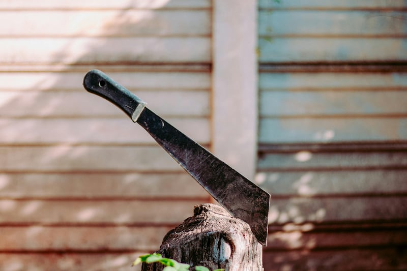 (Foto: Redes sociales)