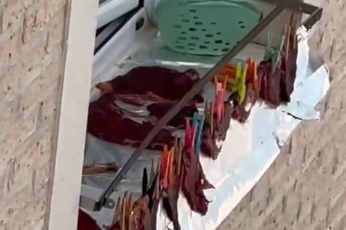 Mujer colgó filetes como si fueran calcetines en su balcón y se hizo hit viral