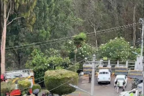 Quito: Hallan un cuerpo sin identificar en La Vicentina; autoridades aún no revelan detalles