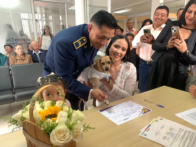 matrimonios civiles con mascotas en Ecuador