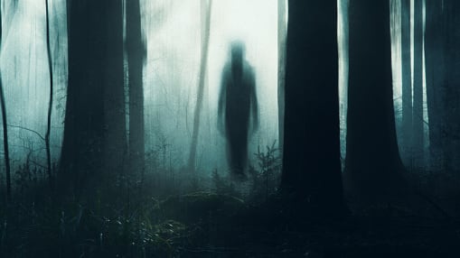 Captan supuesto fantasma en autolavado de Japón: su rostro en el asiento trasero aterra a miles.