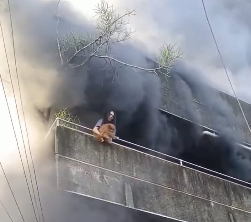 Heroica mujer salva primero a sus perros durante incendio en Mandaue, Filipinas.