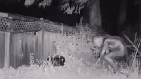 Supuesto extraterrestre en Texas