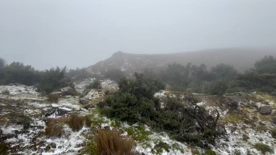 Nieve en El Cajas