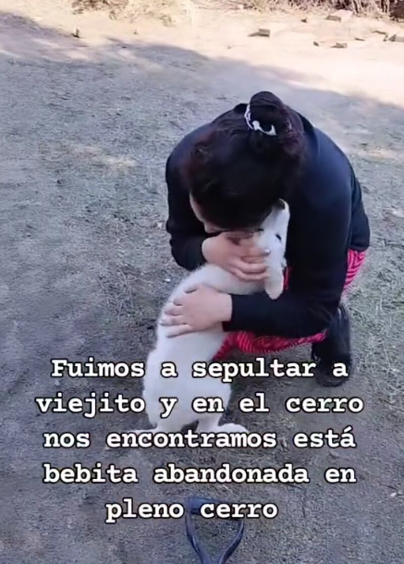 Una cachorra abandonada brinda apoyo a una familia en el entierro de su mascota