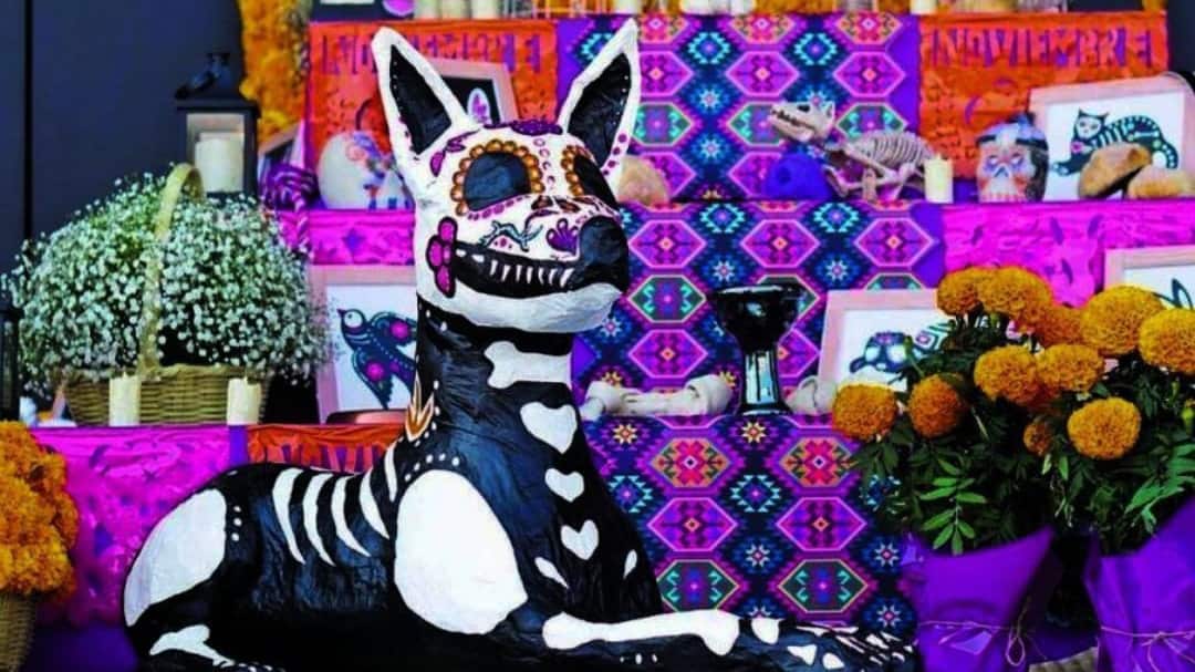 27 de octubre: el Día de Muertos dedicado a nuestras mascotas