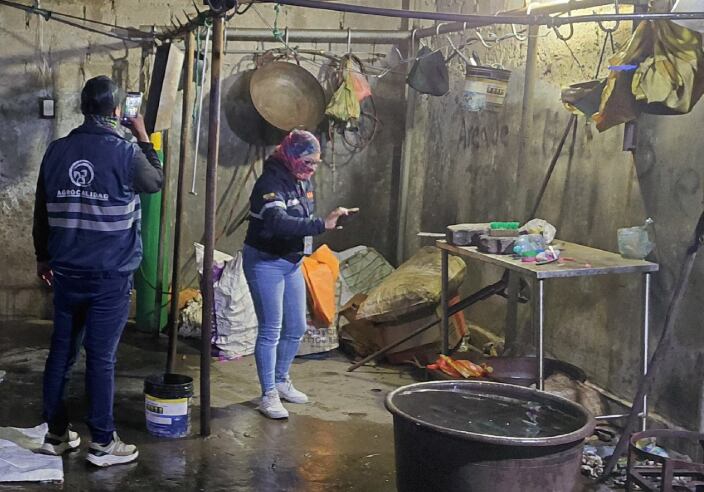Vísceras en el suelo: AMC clausuró camales clandestinos en Calderón y retiró más de 400 libras de carne